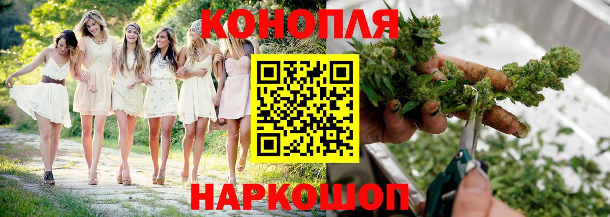 Бошки Шишки конопля  Бошки Шишки семена  Каннабис планчик  Верхний Уфалей  Вход с VPN  Марихуана VHQ 